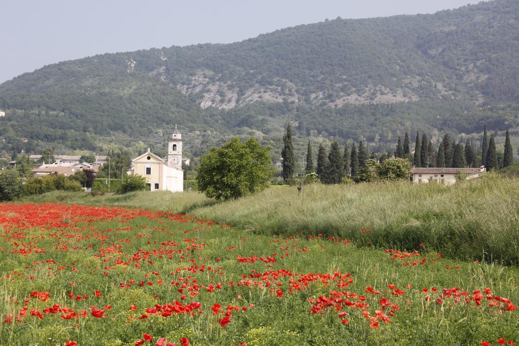 Agriturismo Corte Dei Fiori カプリーノ・ヴェロネーゼ エクステリア 写真